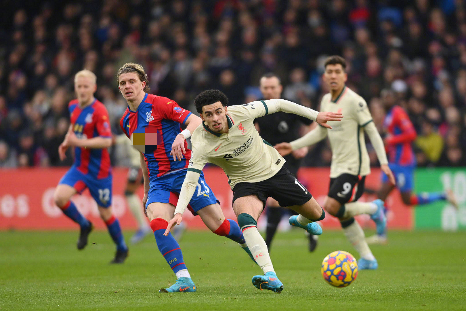 纵观门票的 纵观门票的